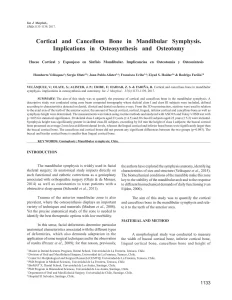 Cortical and Cancellous Bone in Mandibular Symphysis. Implications in Osteosynthesis and Osteotomy