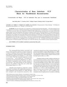 Characterization of Bone Substitute β-TCP Block for Maxillofacial Reconstruction