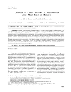 Utilización de Células Troncales en Reconstrucción Cráneo-Maxilo-Facial en Humanos